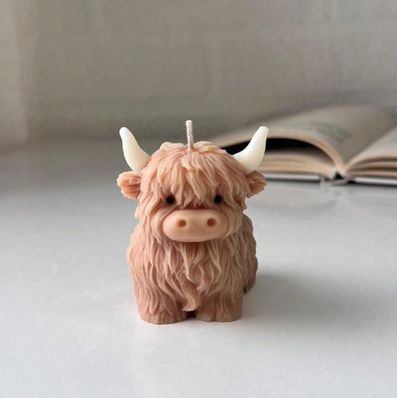 Highland Cow